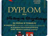 DyplomS