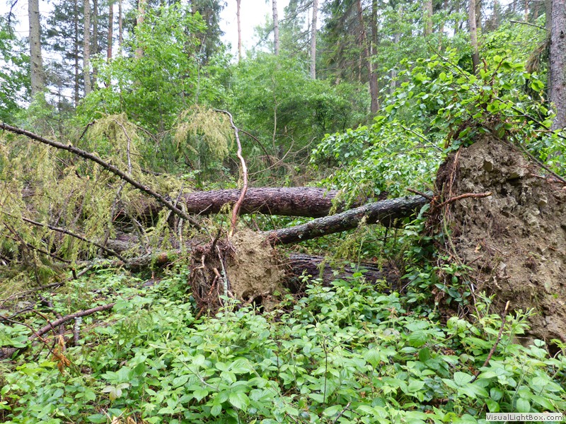 VI Rajd Młodzieży w Krynicy