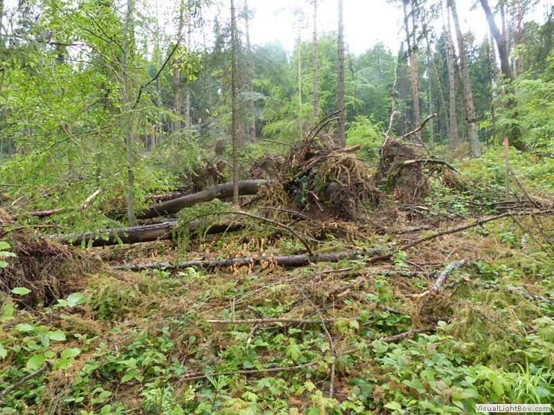 VI Rajd Młodzieży w Krynicy