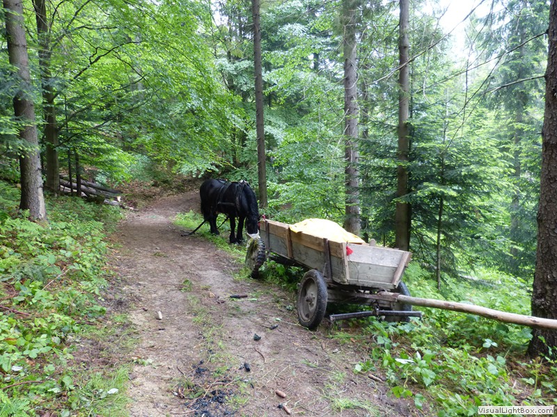 VI Rajd Młodzieży w Krynicy