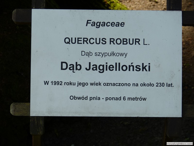 Wycieczka klasy IIa do Krakowa