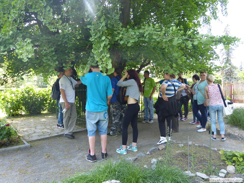 Wycieczka klasy IIa do Krakowa