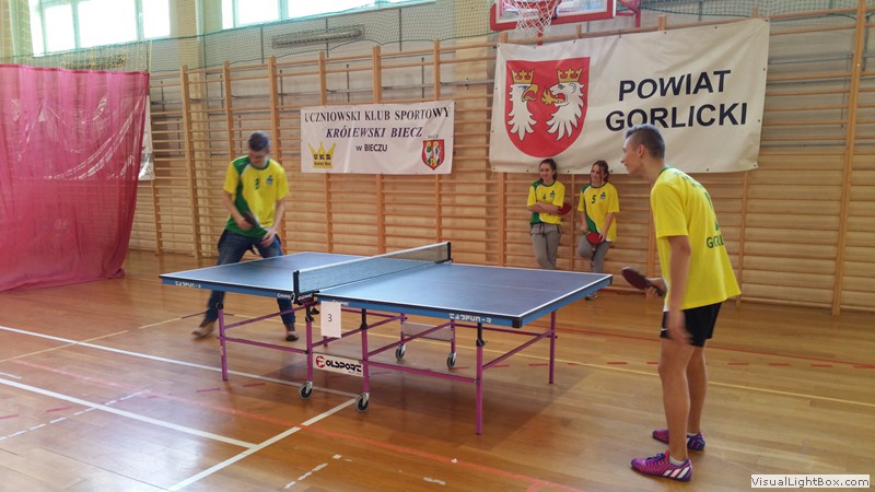 Mistrzostwa Powiatu w Indywidualnym Tenisie Stołowym 2015