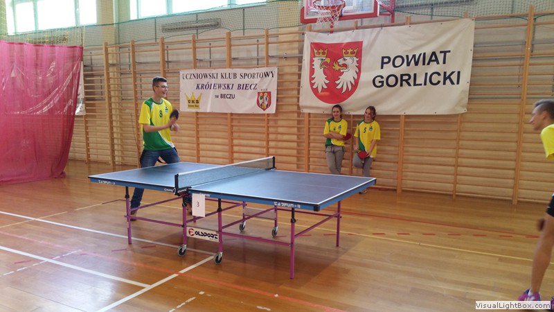 Mistrzostwa Powiatu w Indywidualnym Tenisie Stołowym 2015