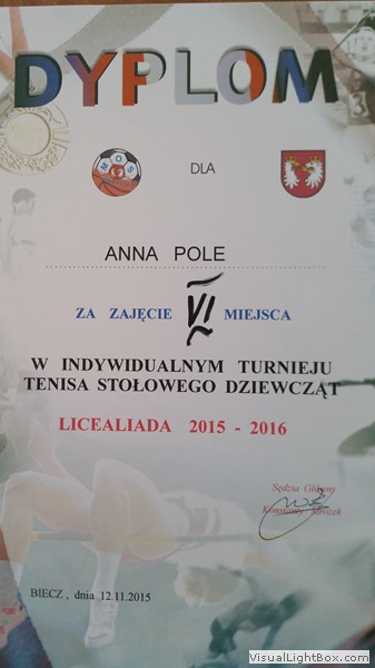 Mistrzostwa Powiatu w Indywidualnym Tenisie Stołowym 2015
