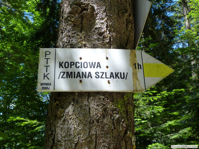 VIII Rajd Młodzieży o Puchar Prezesa Izby Rzemiosła