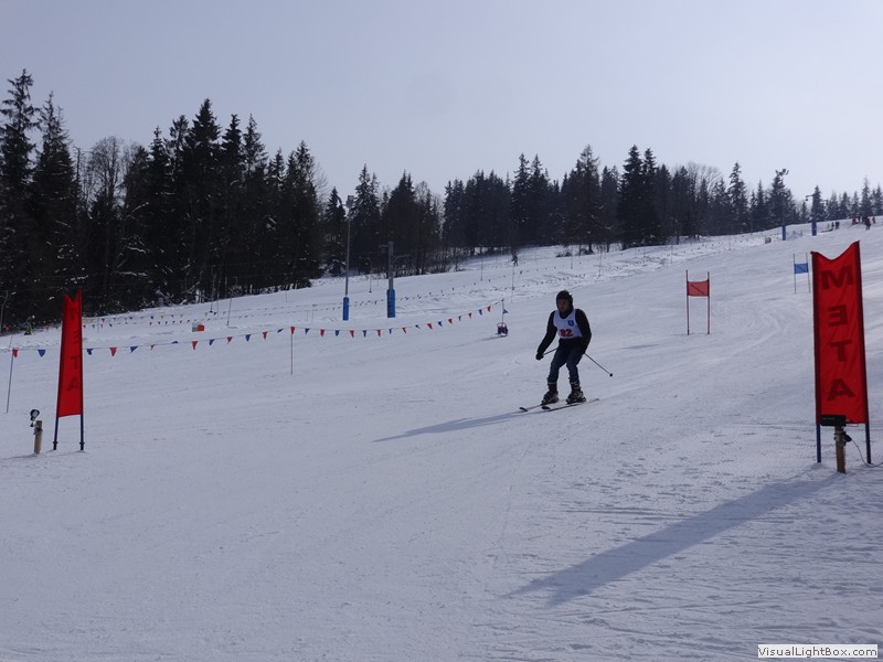 V Zimowe Igrzyska