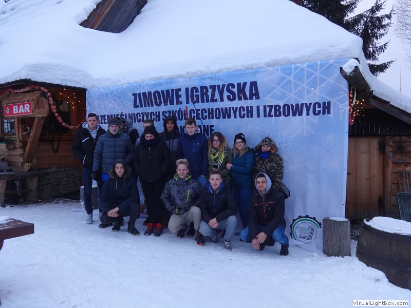 V Zimowe Igrzyska