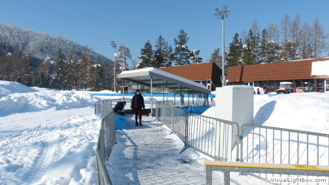 V Zimowe Igrzyska