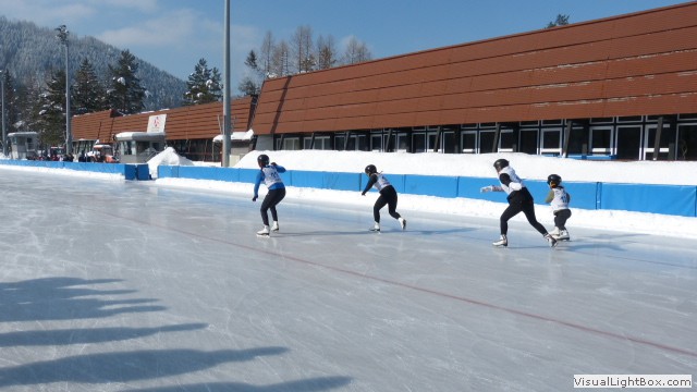 V Zimowe Igrzyska