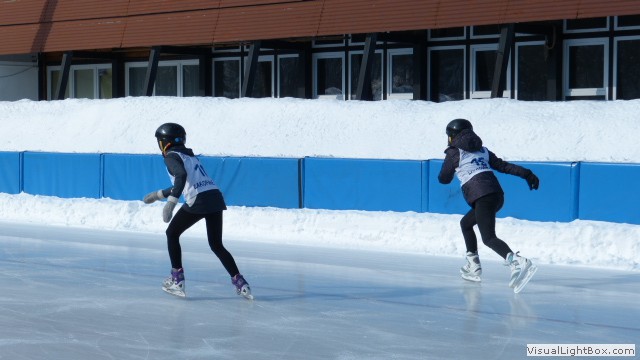 V Zimowe Igrzyska