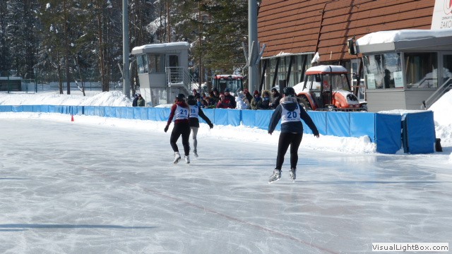 V Zimowe Igrzyska