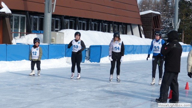 V Zimowe Igrzyska