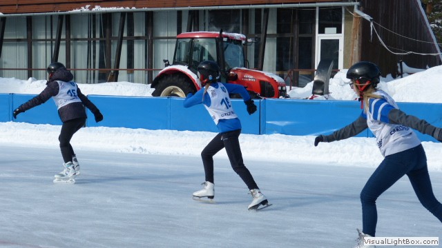 V Zimowe Igrzyska