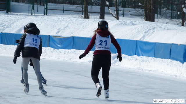 V Zimowe Igrzyska