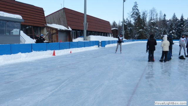 V Zimowe Igrzyska