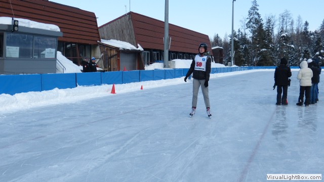 V Zimowe Igrzyska