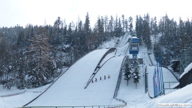 V Zimowe Igrzyska