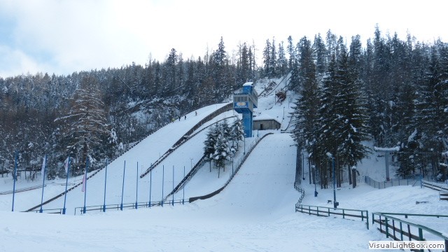 V Zimowe Igrzyska
