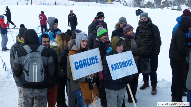 V Zimowe Igrzyska