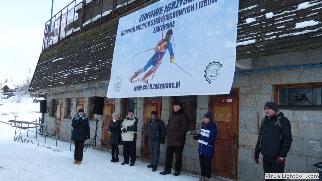 V Zimowe Igrzyska