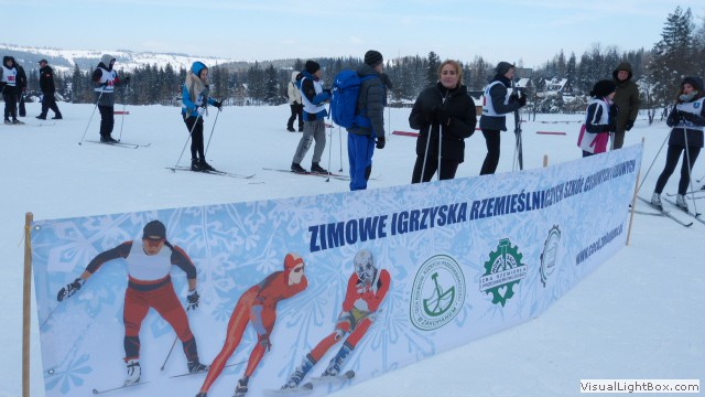 V Zimowe Igrzyska