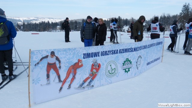 V Zimowe Igrzyska