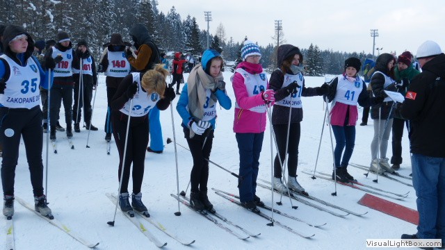 V Zimowe Igrzyska