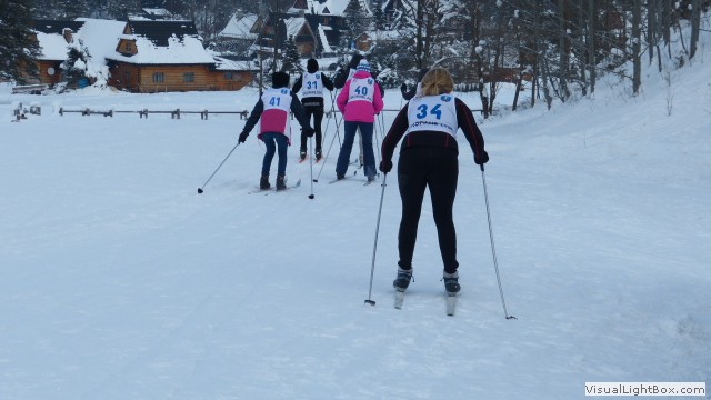 V Zimowe Igrzyska