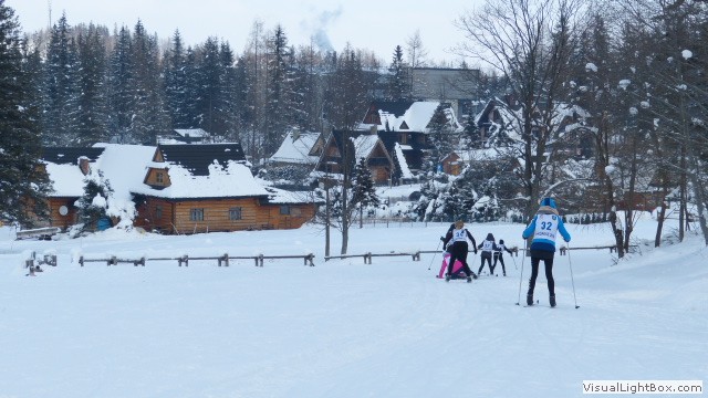 V Zimowe Igrzyska