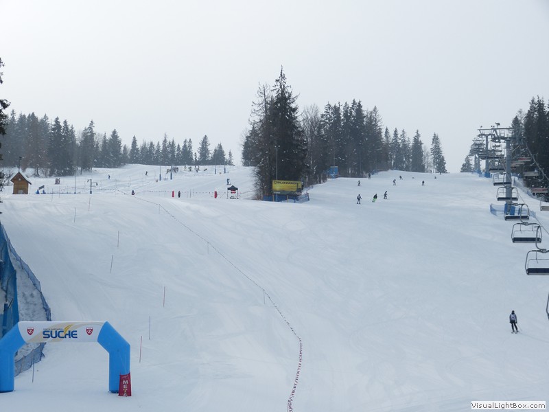 V Zimowe Igrzyska