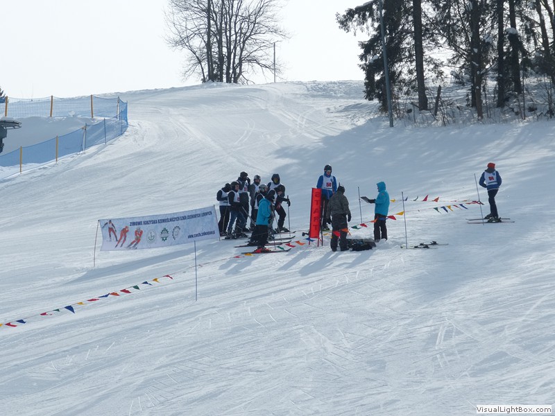 V Zimowe Igrzyska