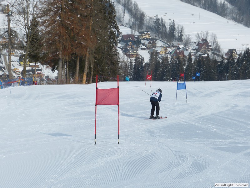 V Zimowe Igrzyska