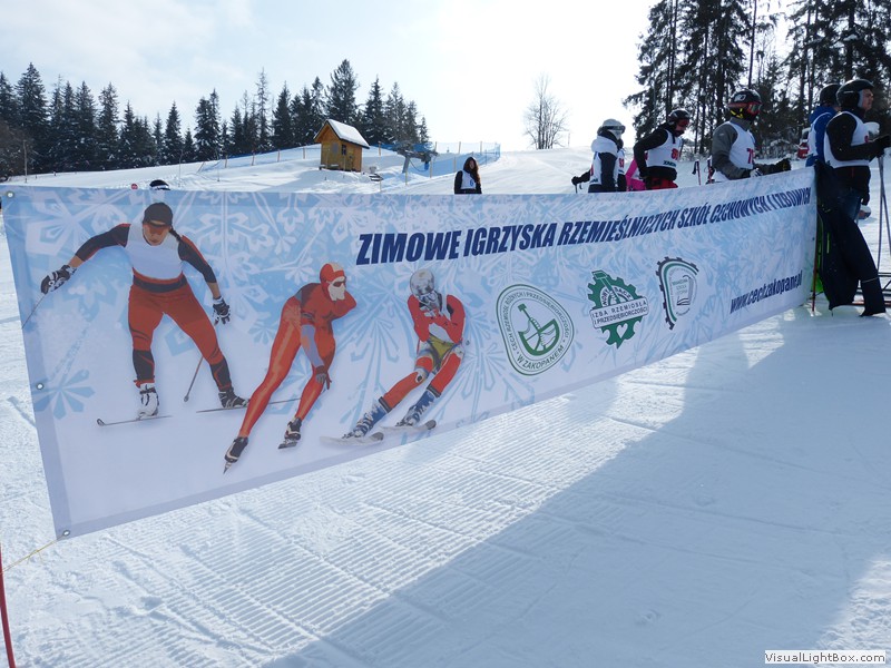 V Zimowe Igrzyska