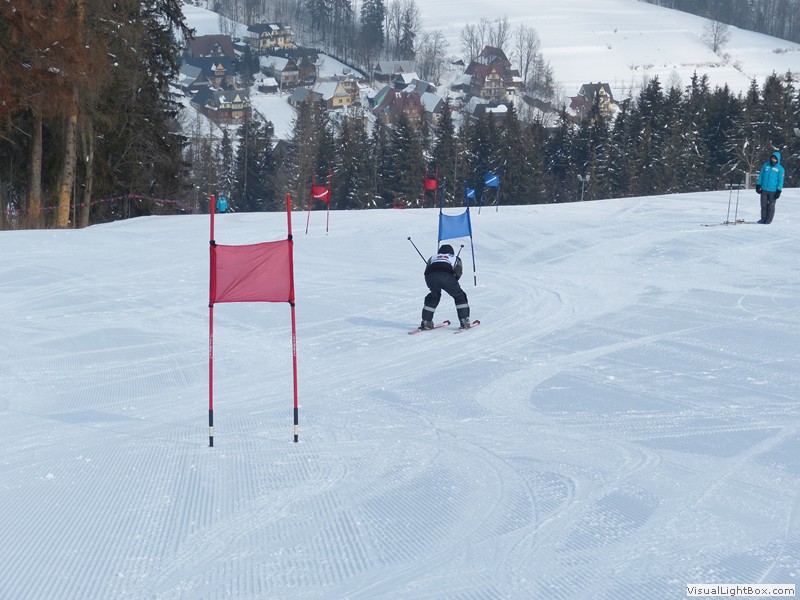 V Zimowe Igrzyska