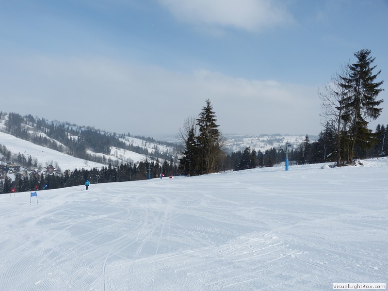 V Zimowe Igrzyska