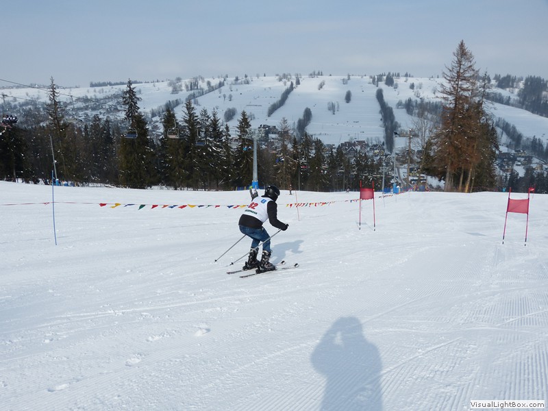 V Zimowe Igrzyska