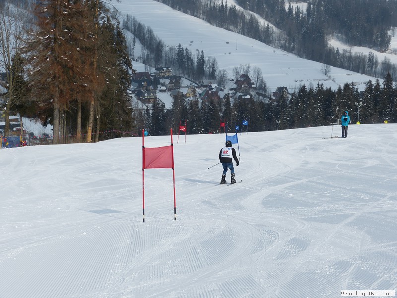 V Zimowe Igrzyska
