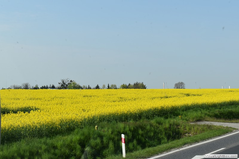 Fotorelacje: