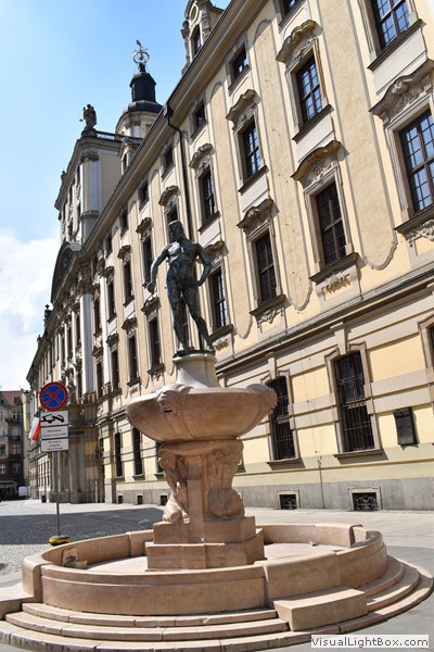 Fotorelacje: