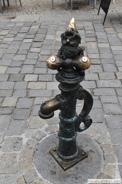 Fotorelacje: