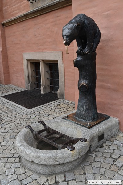 Fotorelacje: