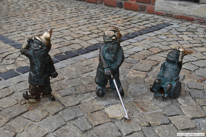 Fotorelacje: