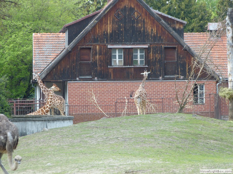 Fotorelacje: