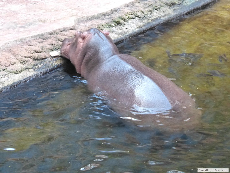 Fotorelacje: