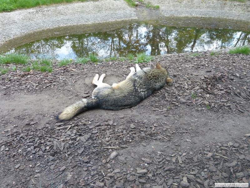 Fotorelacje: