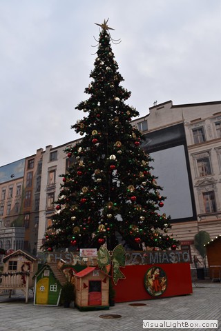 13 - 14 grudnia 2023 r. - ŁÓDŹ