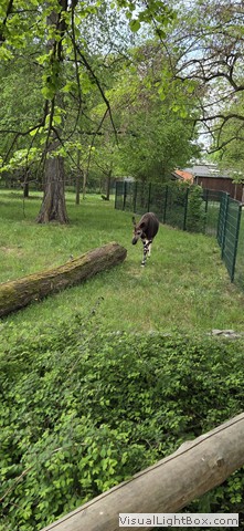 Język niemiecki w praktyce – Saksonia